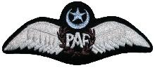 Знак Pilot