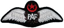 Знак Pilot