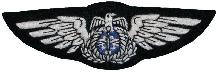 Знак Pilot