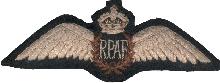 Знак Pilot