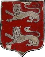 Нагрудный знак Нормандия-Неман 