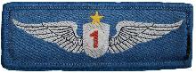 Знак Pilot 1st class