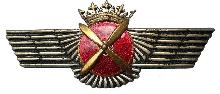Знак Пилот