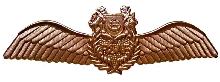 Знак Pilot