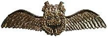 Знак Pilot