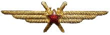 Знак Pilot without class