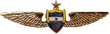 Знак Pilot Знак Pilot