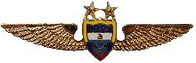 Знак Pilot Знак Pilot