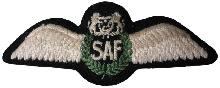Знак Pilot