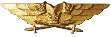 Знак Pilot