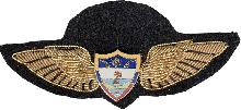 Знак Pilot Знак Pilot