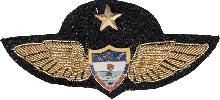 Знак Pilot Знак Pilot