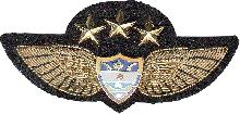 Знак Pilot Знак Pilot