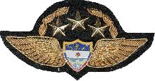 Знак Pilot Знак Pilot