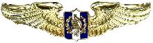 Знак Пилот 