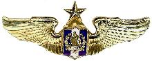 Знак Senior pilot