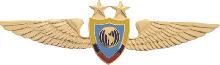Знак Штурман 