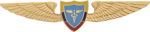 Знак Medical services Знак Medical services