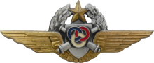 Знак Pilot observer (instructor)