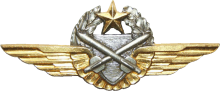 Знак Pilot observer