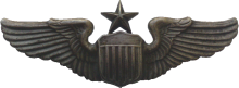 Знак Старший пилот Знак Старший пилот