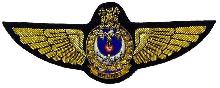 Знак Pilot