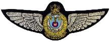 Знак Pilot