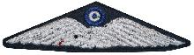 Знак Пилот