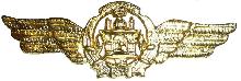 Знак Pilot
