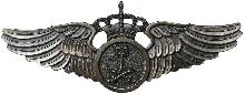 Знак Пилот