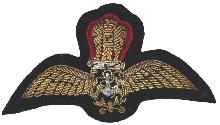 Знак Pilot