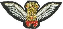Знак Pilot