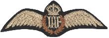 Знак Pilot