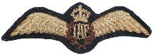Знак Pilot