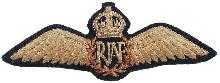 Знак Pilot