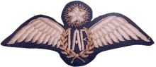Знак Pilot