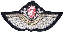 Знак Pilot