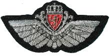 Знак Pilot