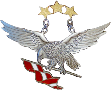 Знак Pilot