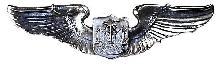 Знак Пилот 