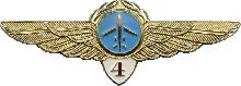 Знак Pilot 4th class