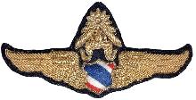 Знак Master pilot