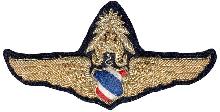 Знак Master pilot