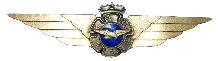 Знак Летчик 