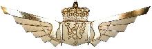 Знак Pilot