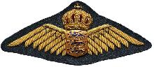 Знак Pilot