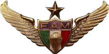 Знак Старший парашютист 