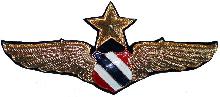 Знак Senior pilot