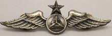 Знак Civil Air Patrol Senior Pilot 
