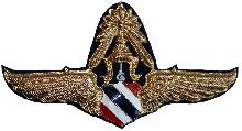 Знак Master pilot
